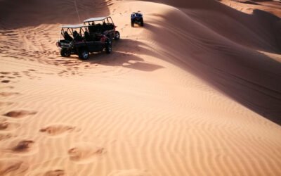 Best Activities to do on a Desert Safari in Doha